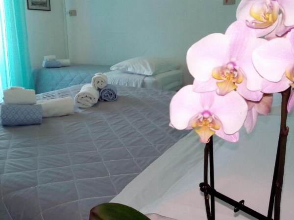 Hotel Rosalba image 27